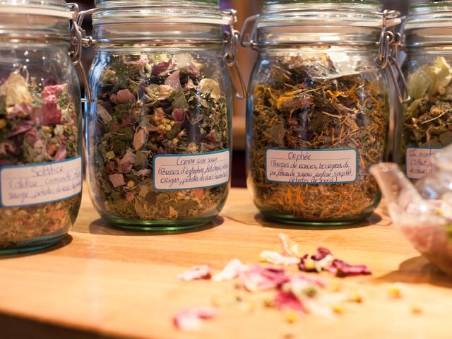 Les Saisons Les superbes infusions d’Anne Ménoret – Anne Ménoret’s wonderful herbal infusions.